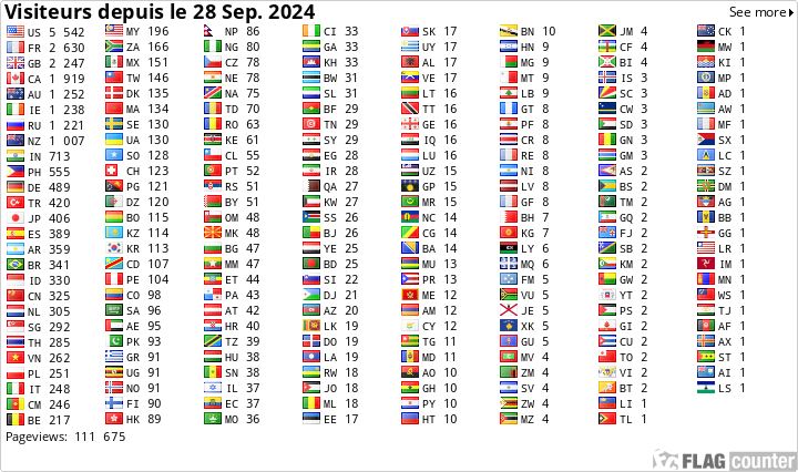 Flag Counter