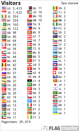 Flag Counter