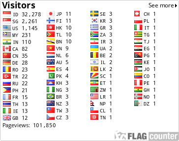 Flag Counter