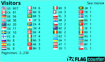 Flag Counter