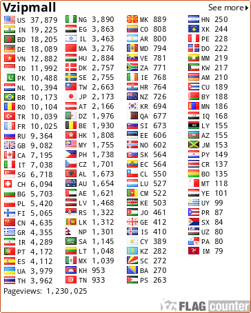 Flag Counter