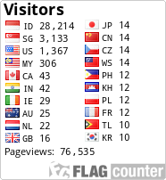 Flag Counter