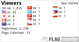 Flag Counter