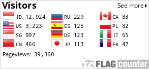 Flag Counter