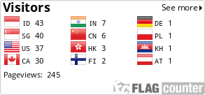 Flag Counter