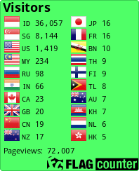 Flag Counter