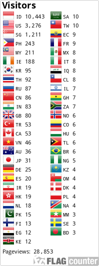 Flag Counter