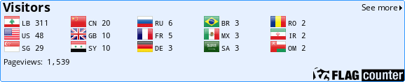 Flag Counter