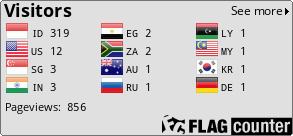 Flag Counter