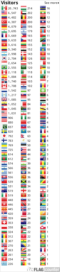 Flag Counter