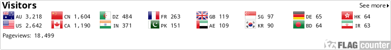 Flag Counter