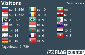 Flag Counter