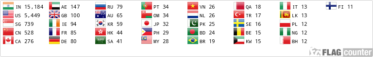 Flag Counter