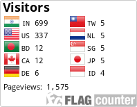 Flag Counter