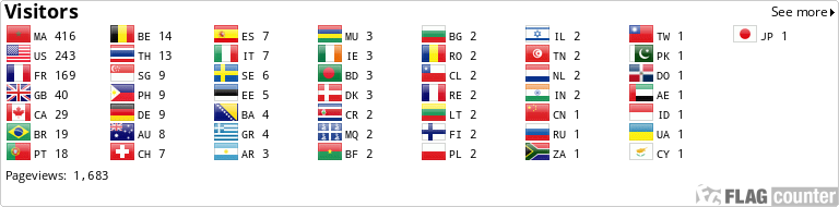 Flag Counter