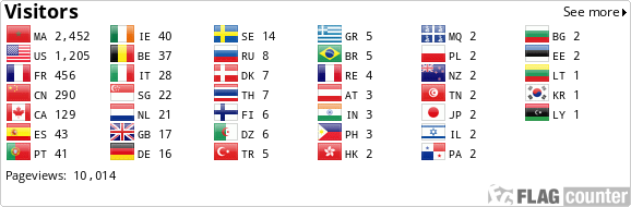 Flag Counter