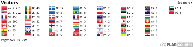Flag Counter