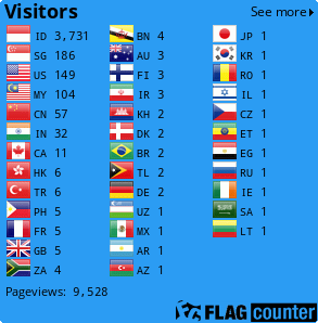 Flag Counter