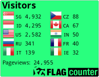 Flag Counter