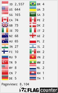 Flag Counter