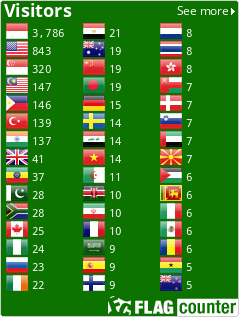 Flag Counter