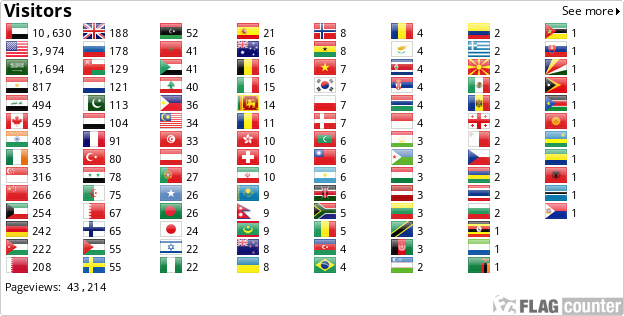 Flag Counter