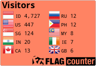 Flag Counter