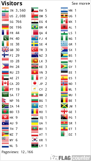 Flag Counter