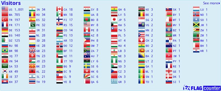 Flag Counter