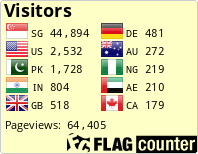 Flag Counter