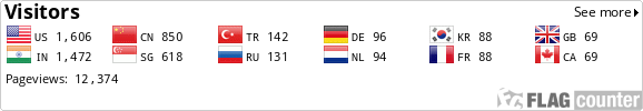 Flag Counter