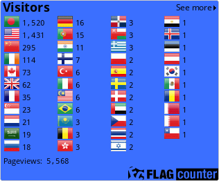 Flag Counter
