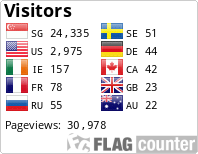 Flag Counter