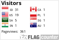 Flag Counter