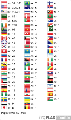 Flag Counter