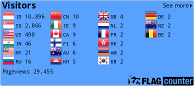 Flag Counter