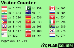 Flag Counter