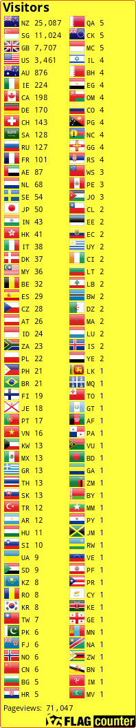 Flag Counter