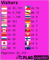 Flag Counter