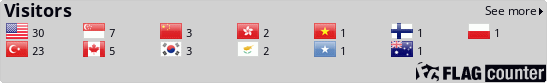 Flag Counter