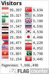 Flag Counter