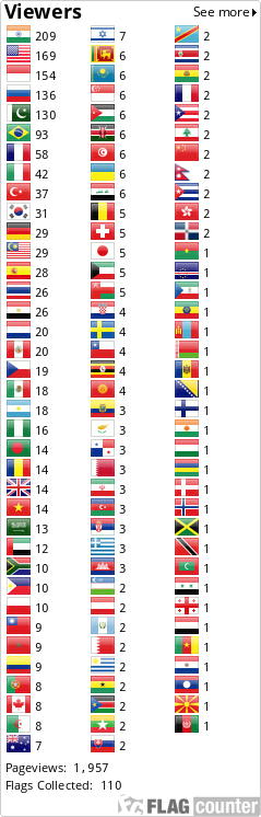 Flag Counter