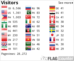 Flag Counter