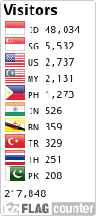 Flag Counter