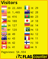 Flag Counter