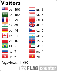 Flag Counter