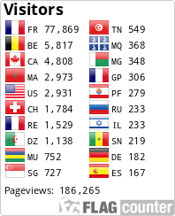 Flag Counter