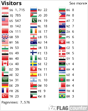 Flag Counter
