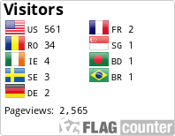 Flag Counter
