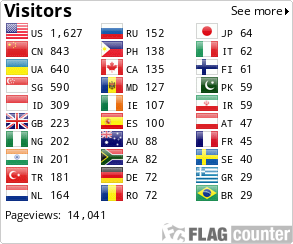 Flag Counter